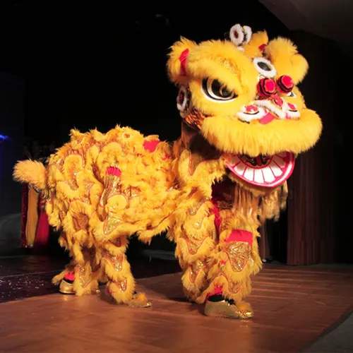 Thrillveera Entertainment unicycle performer showcasing balance and dynamic movement during a live event.