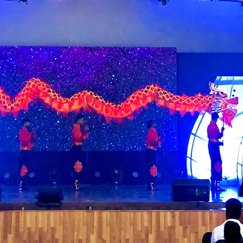 Traditional Dragon Dance Act Show by ThrillVeera Entertainment, performed with vibrant costumes and cultural flair at a festive event