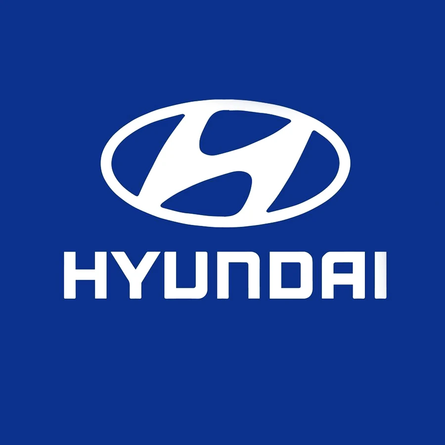 Thrillveera Entertainment on Hyundai Corporate Event