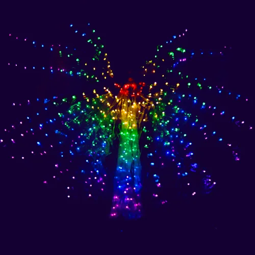 Thrillveera Entertainment - LED Light Dance Show