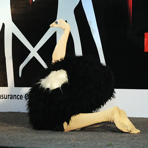 Thrillveera Entertainment - Ostrich Dance Act Performance